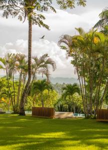 a park with palm trees and green grass at OYA - Wellness Eco Resort & Retreat - all inclusive in Jamao al Norte