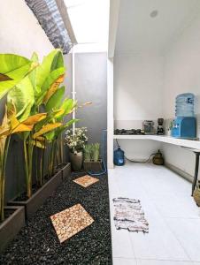 ein Zimmer mit Pflanzen auf dem Boden eines Zimmers in der Unterkunft Tropical oasis private home in Krambitan