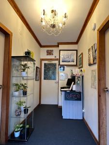 Habitación con encimera con plantas y lámpara de araña. en Brooklyn Motel, en Brooklyn