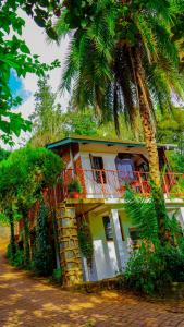 ein Haus mit einer Palme davor in der Unterkunft Steven and Dayness homestay in Lushoto