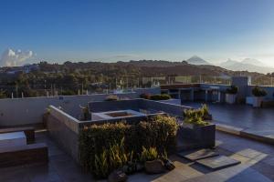 Aussicht vom Dach eines Hauses mit Pflanzen in der Unterkunft Apartamento a unas cuadras de Condado Concepción Carretera a El Salvador in Guatemala