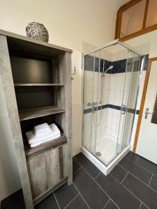 y baño con ducha y cabina de ducha acristalada. en Apartment in Aken an der Elbe, en Aken