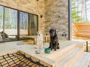 two dogs sitting on a table in a house at Rakuten STAY VILLA Fuji Kawaguchiko Forest 2LDK with sauna and terrace-Pet Friendly- in Fujikawaguchiko