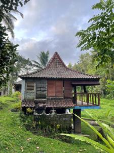a small house in a grassy field at Oemah Tepi Sawah in Jatiluwih