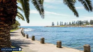 a beach with a palm tree and the ocean at Beachside Getaway in Kiama
