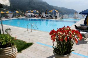 a large swimming pool with red flowers in pots at Lido Sofia Apartments in Agios Gordios