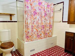 a bathroom with a toilet and a shower curtain at Quarryman Cottage @ 102 in Bowral