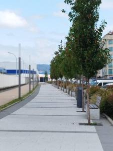 a sidewalk with a row of trees and benches at Apartamento Illa de Tambo in Marín