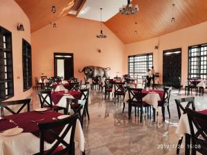 ein Elefant steht mitten in einem Restaurant mit Tischen und Stühlen in der Unterkunft Kiikalloh Grand Resort in Machakos