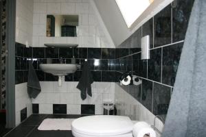 a bathroom with a toilet and a sink at Appartement De Molshoop in Landsmeer +26 photos