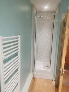 a bathroom with a shower and a toilet in a room at One bedroom Apartment in the heart of Horsham city centre in Horsham