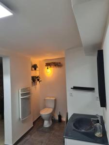 a small bathroom with a toilet and a sink at La maison du bonheur in Caumont-sur-Durance