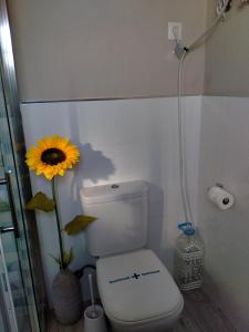 a bathroom with a toilet with a sunflower on the wall at La Casa De MarcoQ in Costa Calma