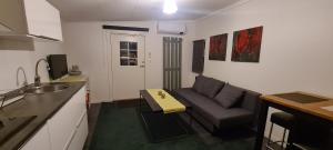 Il comprend un petit salon avec un canapé et une cuisine. dans l'établissement lägenhet, à Göteborg