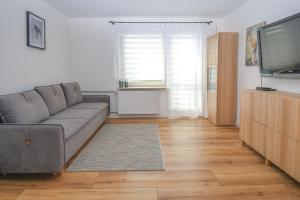 Μια τηλεόραση ή/και κέντρο ψυχαγωγίας στο Apartament przy Zdrojowej
