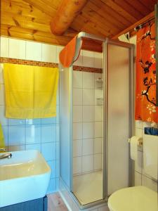 uma casa de banho com um chuveiro e um lavatório. em Diemelsee Sudeck - Ein Ferienhäuschen zum WOHLFÜHLEN em Diemelsee