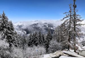 Příroda nedaleko apartmánu + 3 fotografie