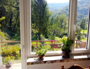 Art house Tufi في Bistrica ob Sotli: نافذة مفتوحة مع نباتات الفخار على حافة النافذة
