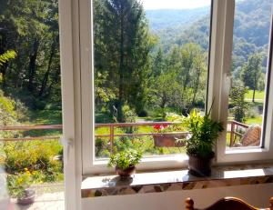 una ventana abierta con macetas en el alféizar de la ventana en Art house Tufi, en Bistrica ob Sotli