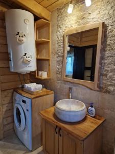 a bathroom with a sink and a washing machine at Casuta de vacanta Danuț&Erin in Târgu Jiu