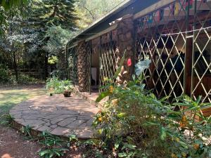 Zahrada ubytování Mad Vervet Nairobi Backpackers Hostel