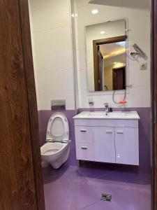 een badkamer met een toilet, een wastafel en een spiegel bij khiliani in Tbilisi City