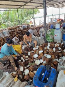Fotografie z fotogalerie ubytování Homestay Nam Hàm Luông v destinaci Ben Tre