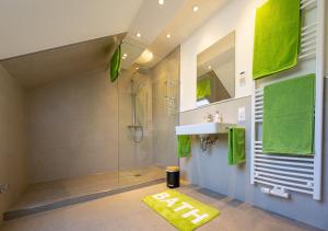 a bathroom with a shower and a sink and a mirror at Ferienwohnungen Schwarzwaldzauber in Loffenau