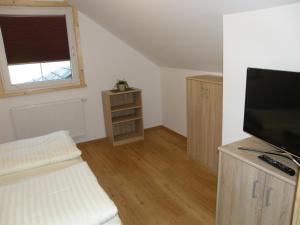 TV a/nebo společenská místnost v ubytování Apartment Altaussee