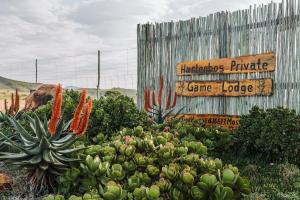 un jardín de cactus y suculentos delante de un cartel en Hartenbos Private Game Lodge, en Hartenbos