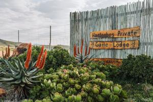 a garden of cacti and succulents in front of a sign at Hartenbos Private Game Lodge in Hartenbos