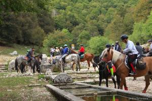 un grupo de personas montando caballos sobre un río en Agriturismo Maneggio Vallecupa, en Pescasseroli