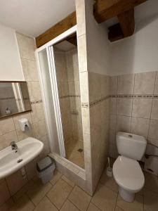 a bathroom with a shower and a toilet and a sink at Hotel U Radnice Aš in Aš