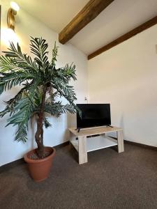 uma sala de estar com um vaso de plantas e uma mesa em Hotel U Radnice Aš em Aš