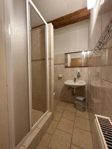 a bathroom with a shower and a sink at Hotel U Radnice Aš in Aš