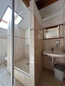 a bathroom with a shower and a sink and a toilet at Hotel U Radnice Aš in Aš
