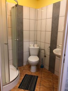 a bathroom with a toilet and a shower and a sink at Zajazd Pod Swierkiem in Grajewo