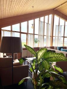 una sala de estar con una planta y una lámpara en Hotel Vík í Mýrdal, en Vík
