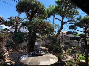 Aed väljaspool majutusasutust Luxury Japanese Villa with Garden Near Kansai Airport & Premium Outlets 和風庭園豪邸