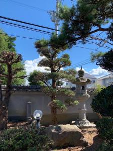 un pino en un jardín con una fuente de piedra en 和風庭園豪邸, en Osaka