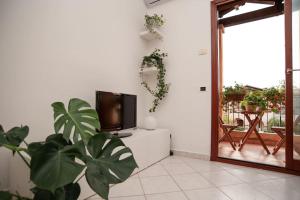 un salon avec une télévision et une plante dans l'établissement Casa Nettuno, à Maddalenedda