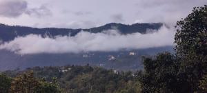 a view of a mountain covered in clouds and trees at Bestinn Leisure Chalona Munnar in Munnar +25 photos