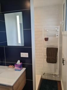a bathroom with a sink and a mirror at La chambre du bosquet in Le Mans +5 photos