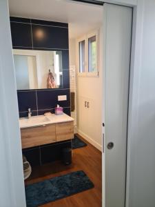 a bathroom with a sink and a mirror at La chambre du bosquet in Le Mans