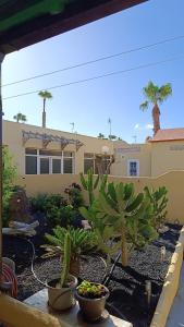 - une vue sur une maison avec des plantes dans une cour dans l'établissement El Caseto, à Costa Calma