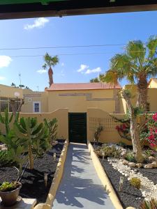 a house with palm trees and a driveway at El Caseto in Costa Calma