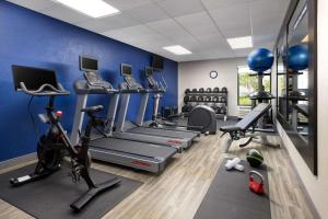een fitnessruimte met loopbanden elliptische machines en een blauwe muur bij Hampton Inn Naples-Central in Naples