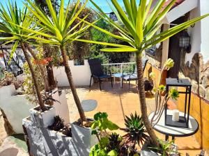 Gibraleón的住宿－FINCA RIODIEL，一个带棕榈树和桌椅的庭院