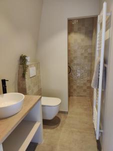 a bathroom with a toilet and a sink and a shower at d'Oude Smidse in Zuienkerke