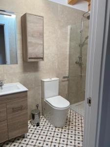 La salle de bains est pourvue de toilettes, d'un lavabo et d'une douche. dans l'établissement Apartamentos Rurales La Plaza 2, à Duruelo de la Sierra